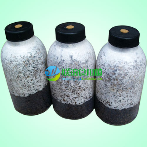 香菇木耳灵芝猴头珍稀品种食用菌