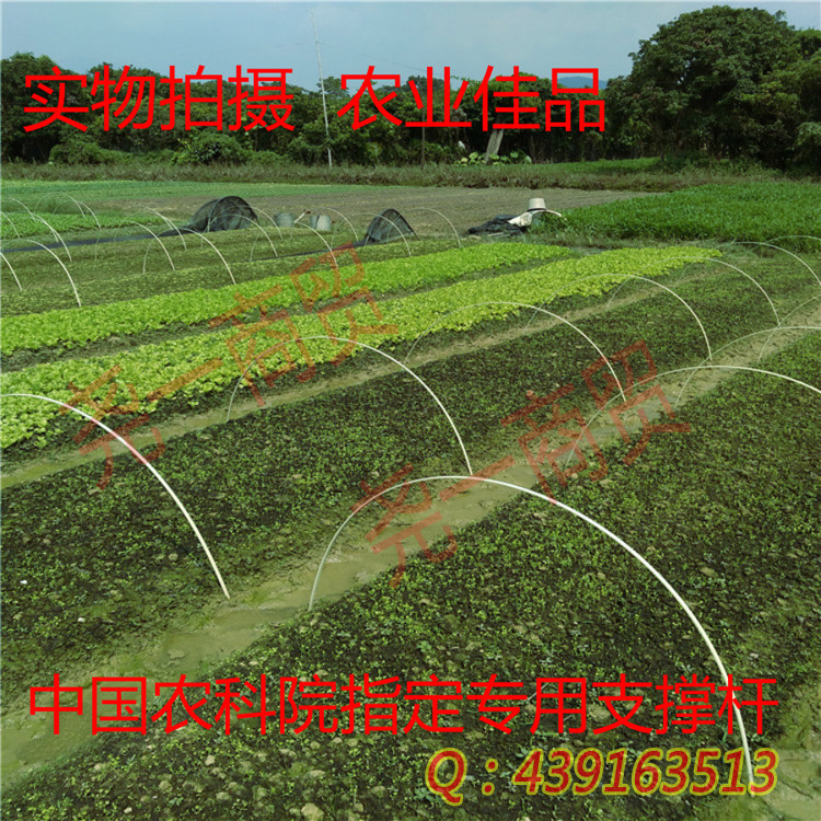 玻璃纤维杆防腐防锈耐高压棒比包塑钢管好的大棚骨架家庭种菜图片