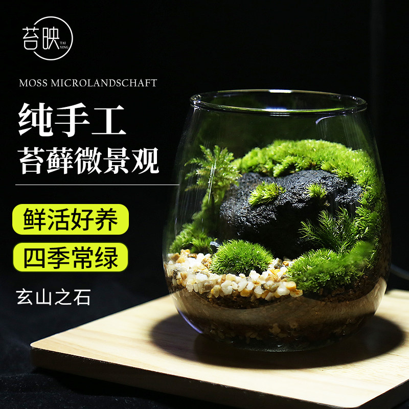 苔藓微景观创意礼物玄山之石办公室桌面盆栽绿植减压diy生态瓶