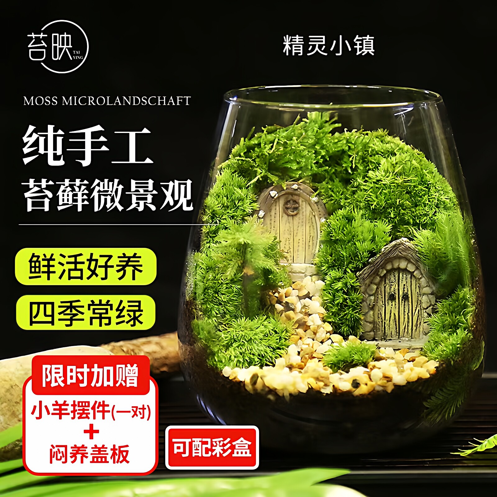 苔藓微景观创意桌面微观造景植物摆件礼物减压绿植生态瓶diy材料 - 实物图