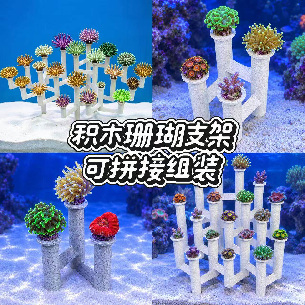 珊瑚支架造景骨架断肢繁殖