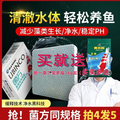 过滤专用器材净化水质消藻硝化菌