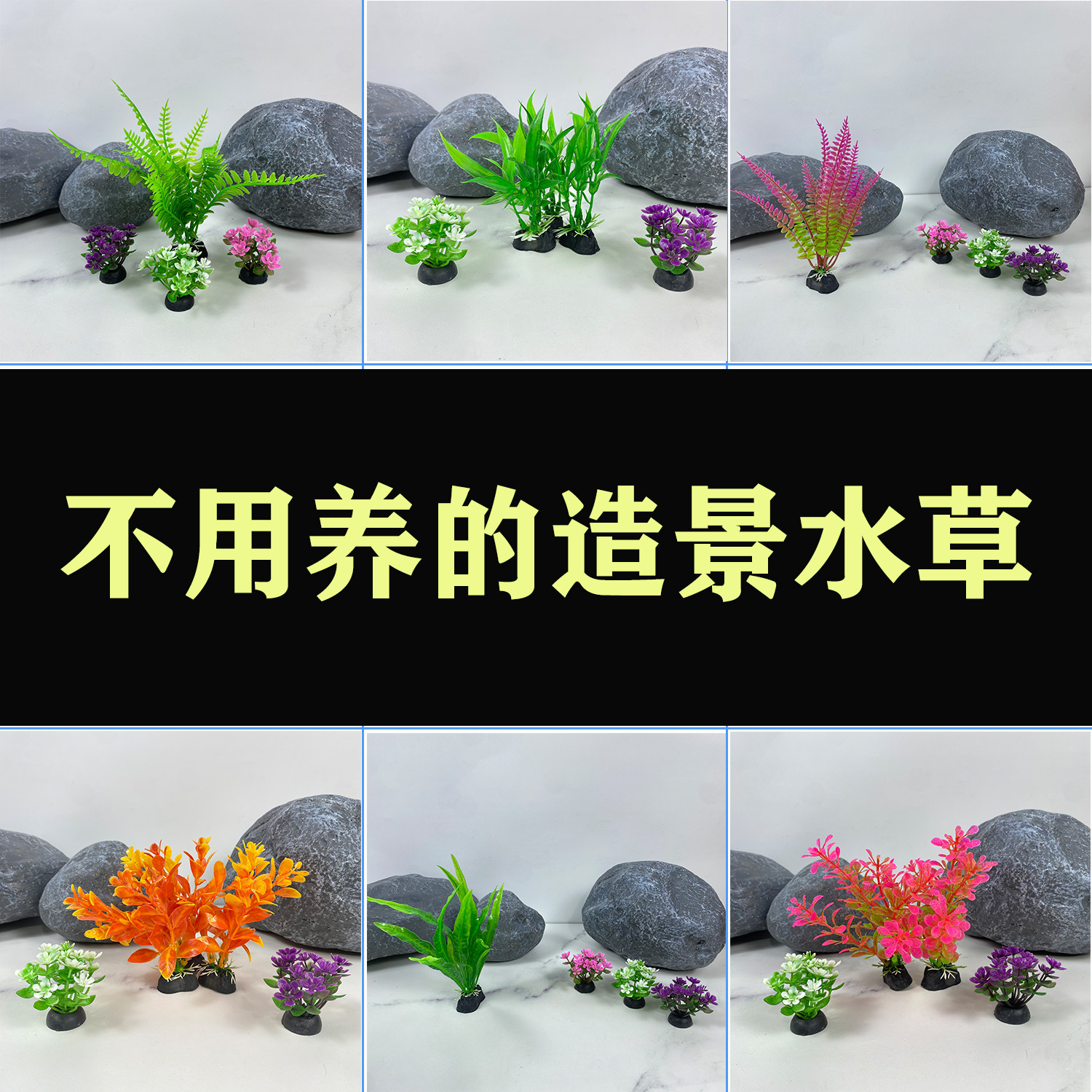 好看的水草组合整套实惠