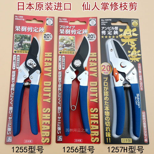 仙人掌修枝剪果树修枝剪刀树枝剪刀家用花艺花剪桑剪日本原装进口