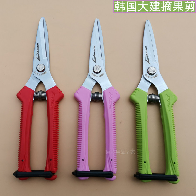 韩国进口大建疏果剪采摘剪蔬果剪园艺剪尖剪摘果剪稀果剪整枝剪