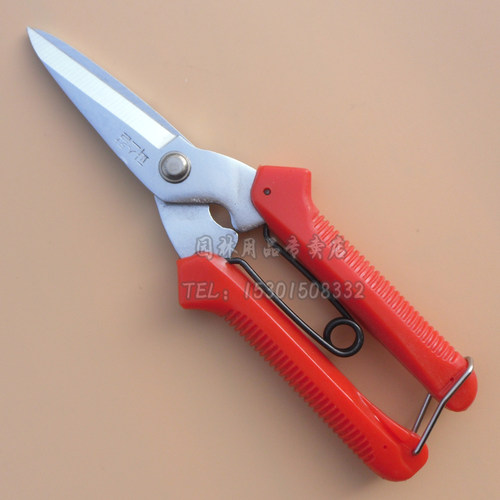 韩国尖剪WS-905修枝剪树枝剪稀果剪花园剪葡萄剪枝叶剪园艺采果剪