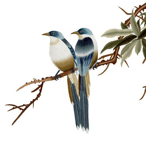 苏绣diy初学套件 针迹扫描 宋人花鸟 树枝小鸟 简易自学刺绣图案