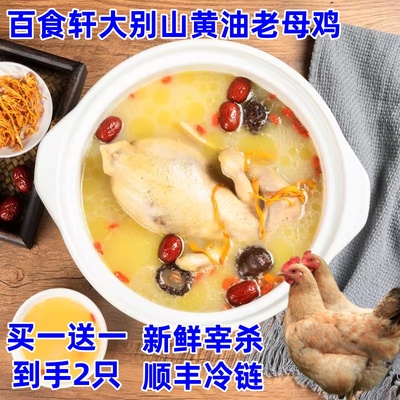 百食轩大别山黄油老母鸡新鲜宰杀安徽草鸡土鸡清蒸煲汤顺丰冷链