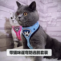 拴 遛 遛 遛 猫 猫 猫 猫 猫 猫 猫 猫 猫 猫 猫 猫 猫 - Cat / Dog hàng ngày Neccessities bát ăn cho chó con