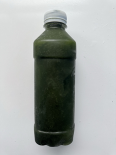 超浓缩海水小球藻浓缩液轮虫饲料小丑鱼繁殖贝类育苗开口珊瑚虾蟹