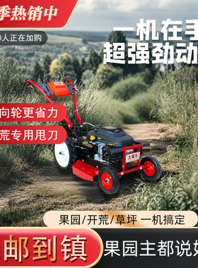 果园除草机开荒神器农用大功率手推式割草机汽油机打草机宗申动力