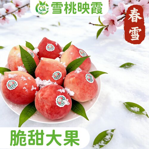 【顺丰包邮坏果包赔】水蜜桃新鲜毛桃多汁脆甜现摘现发产地直发