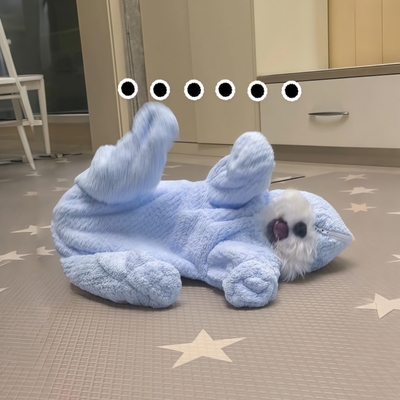 狗狗衣服秋宠物浴巾浴袍吸水加厚速干中小型犬不掉不沾毛洗澡毛巾