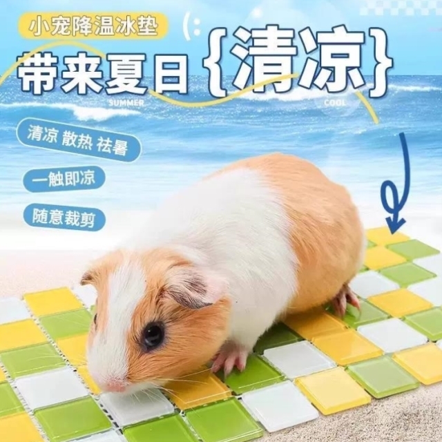 荷兰猪冰垫兔子降温专用豚鼠龙猫用品宠物降温板散热仓鼠冰窝冰屋