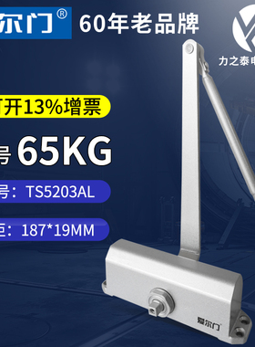 爱尔门闭门器液压缓冲自动家用关门器室外铁门防火门中号TS52静音
