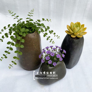 天然鹅卵石花盆 多肉植物花盆 创意石头花器 桌面装饰一物一拍