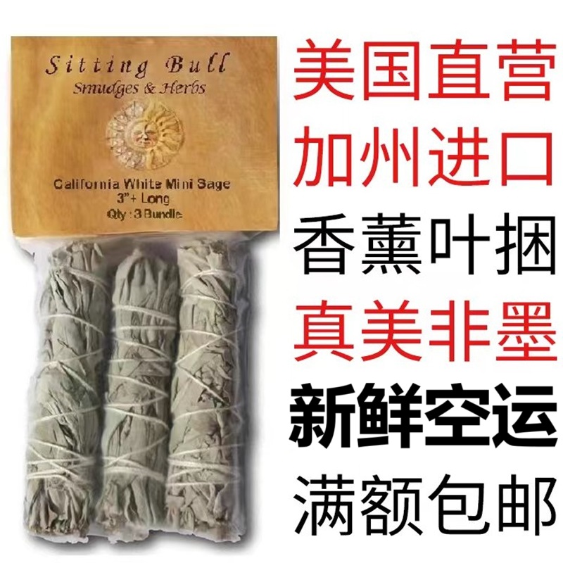 加州白鼠尾草一手货源源头价格