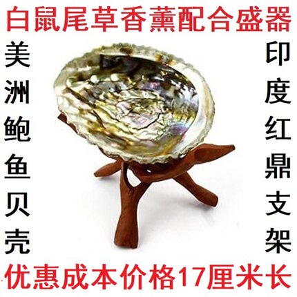 美国加州进口白鼠尾草香薰工具 南美鲍鱼贝壳 印度红鼎支架 盛器