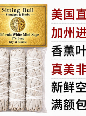 加州白鼠尾草一手货源源头价格