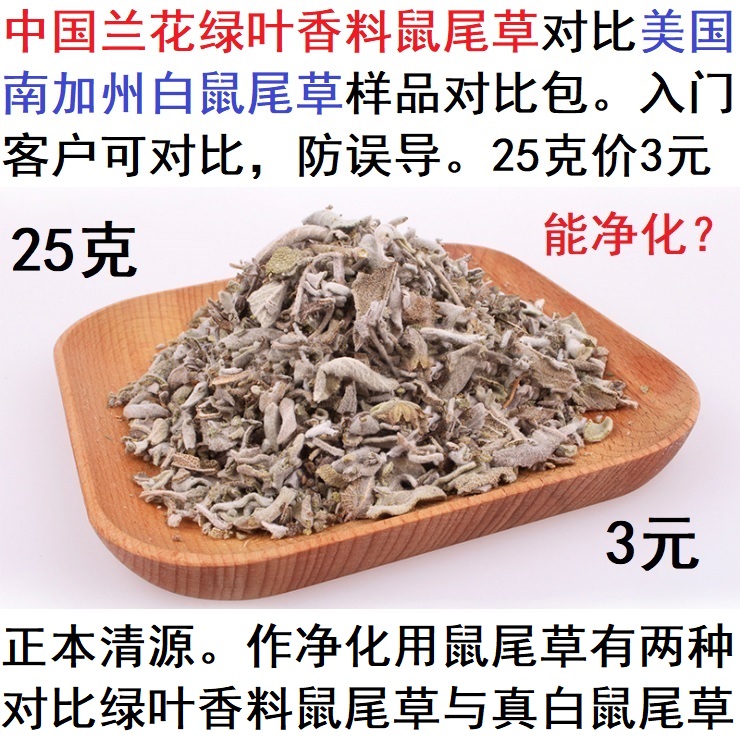 美国加州白鼠尾草净化消磁对比中国兰花绿叶香料鼠尾草样品25克