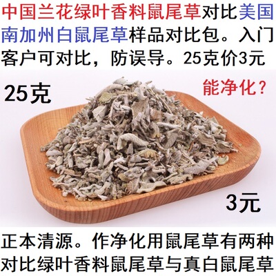 加州消磁绿叶样品25克白鼠尾草