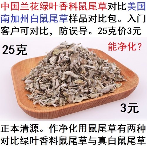 加州消磁绿叶样品25克白鼠尾草