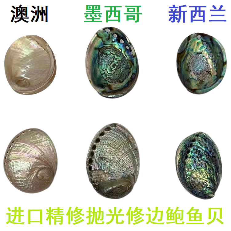 进口 新西兰 墨西哥 澳大利亚 鲍鱼贝壳 抛光修边 精美 产量有限