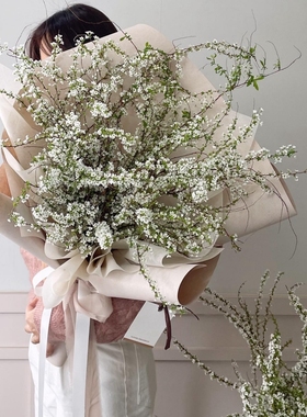 西岱岛｜北京同城鲜花速递热卖四季家居插花高枝条花束 雪柳