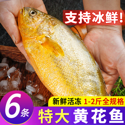 无冰超大号大黄鱼年货坏单包赔