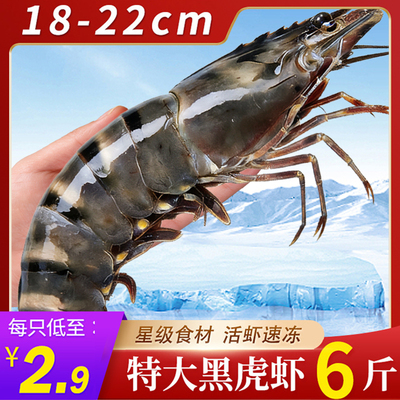 特大号无冰黑虎虾鲜嫩肉肥