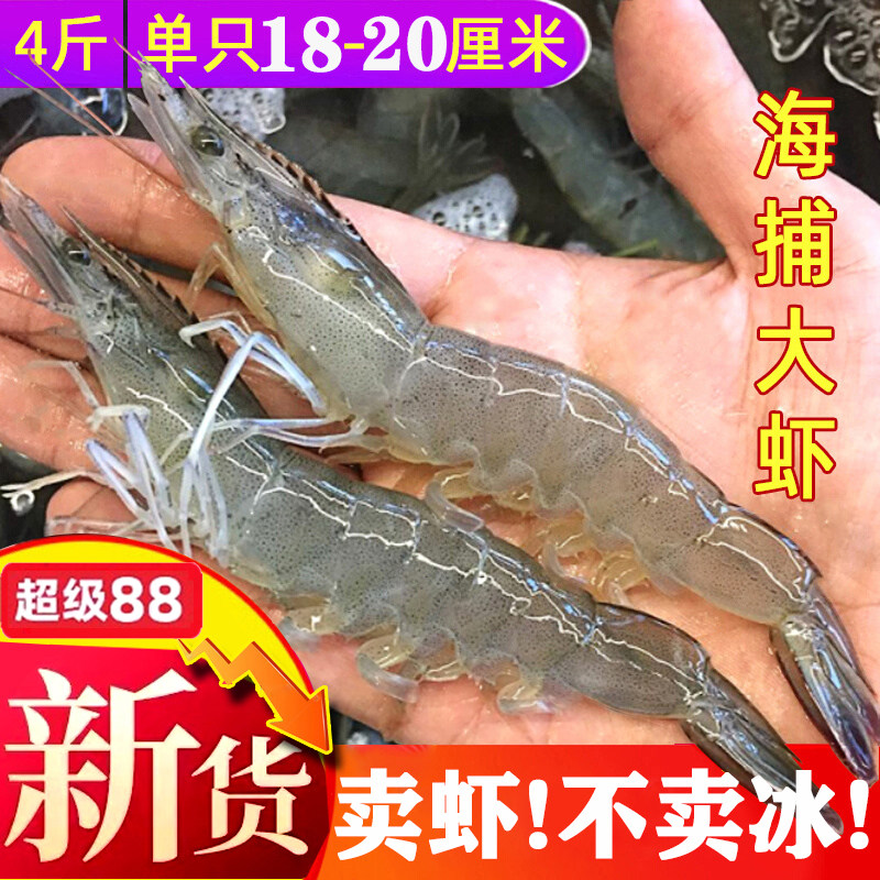 2030大虾青岛超大海虾第二盒直降