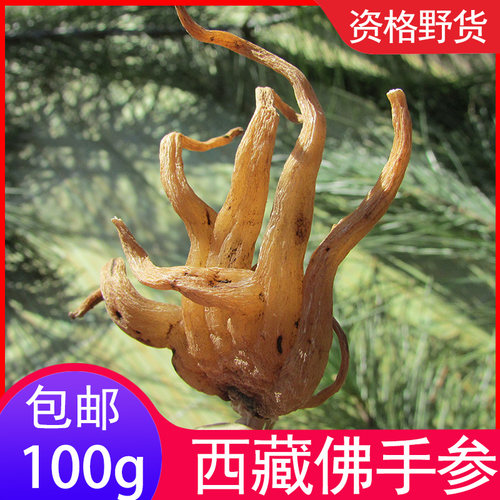 西藏中药材手掌参佛手参 藏佛手参  手掌参  100克包邮