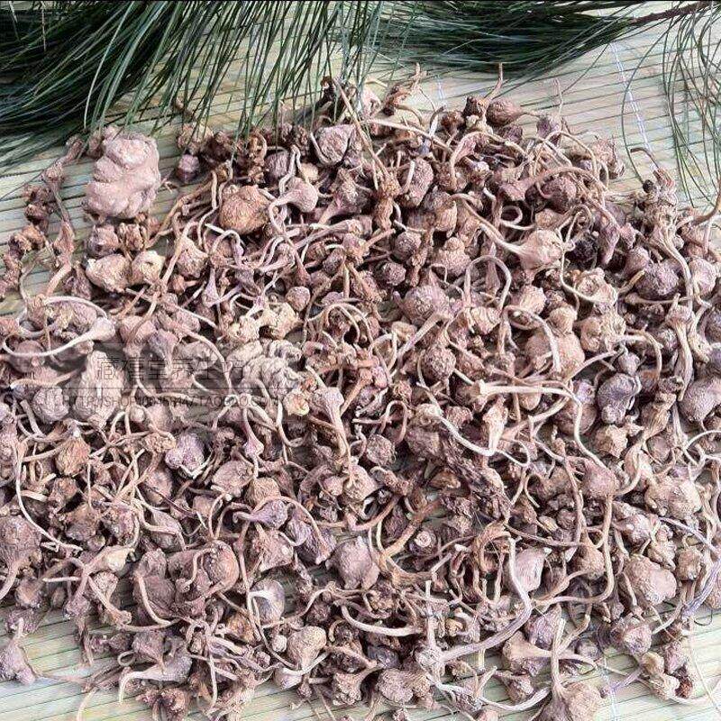 藏三七中药材扣子七 效果比云南三七好一份100克二两包邮