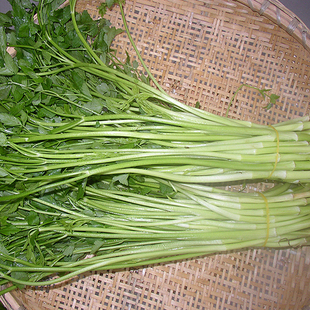 安徽桐城水芹菜地方特产农家现挖发货新鲜蔬菜芹菜芽白芹野芹菜