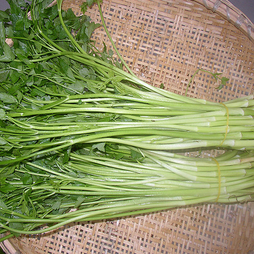 新鲜营养的桐城水芹菜现挖发货
