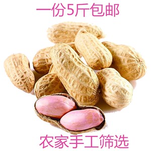 带壳生花生2022新晒干花生5斤散装包邮小零食安徽农家新鲜干花生