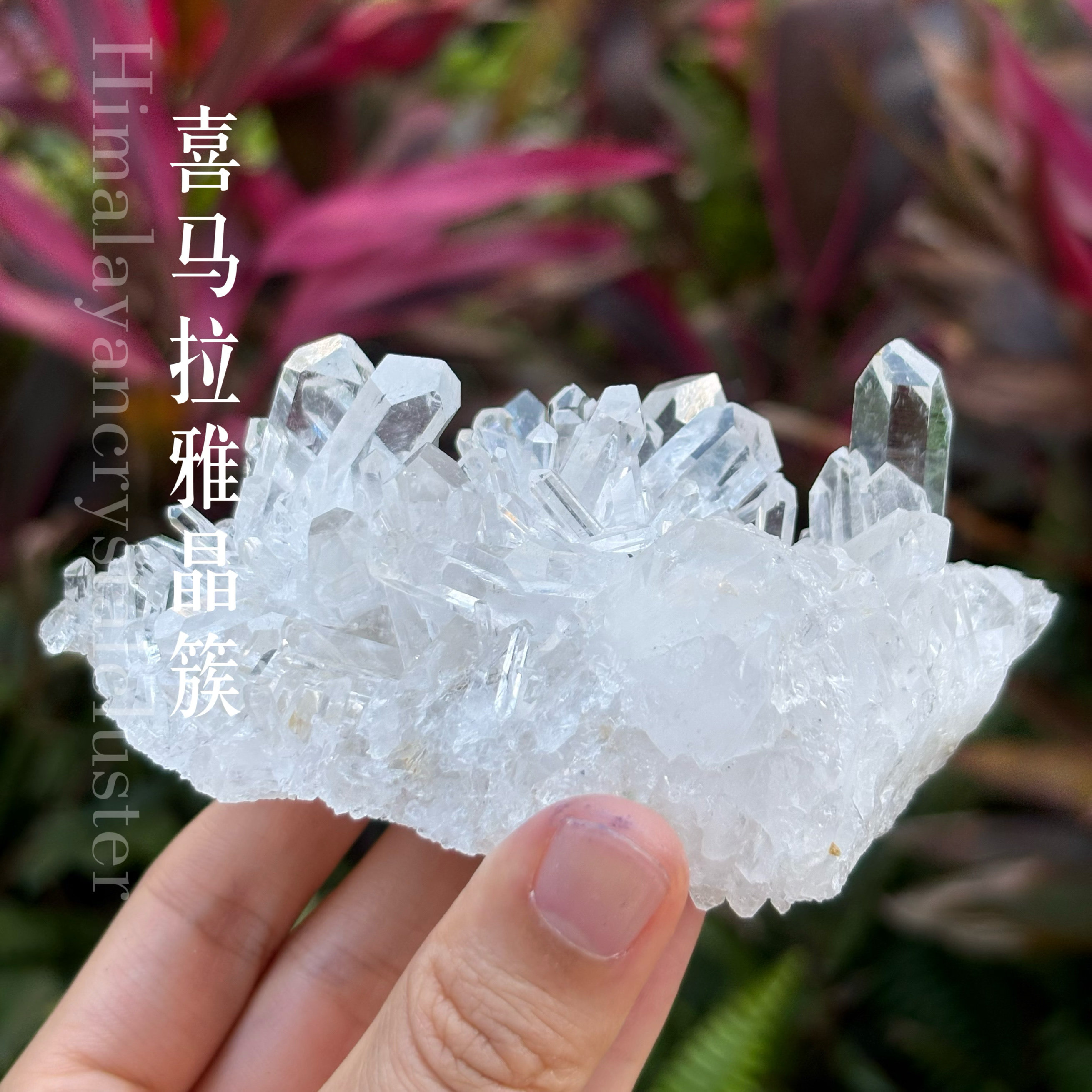 星耀水晶精品/史诗级别|晶簇体-喜马拉雅水晶(天然原石默认有损
