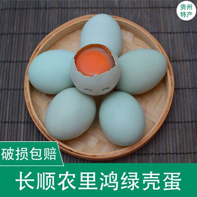 长顺绿壳鸡蛋农家自养土鸡蛋草鸡蛋新鲜现捡绿壳蛋礼盒装O