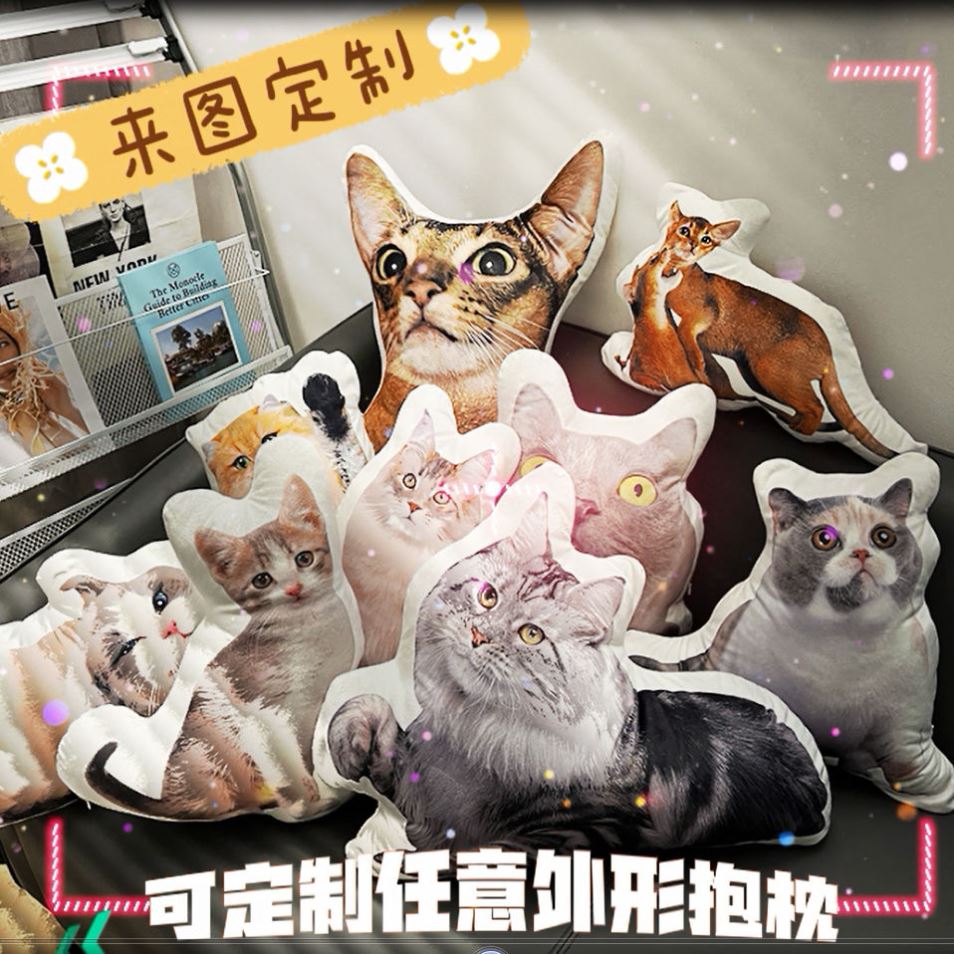 无描边猫抱枕宠物无白边玩偶定制猫咪咪diy超丑猫玩偶订做狗偶.