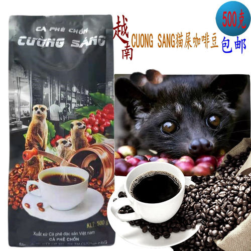 G8阿拉比卡罗布斯塔猫屎咖啡豆