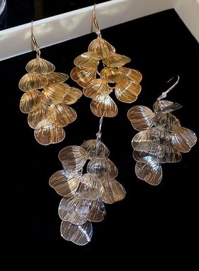 Exaggerated Flower Long Tassel Earrings Light Luxury Tempera