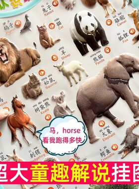立体认识动物叫声挂图早教有声点读宝宝儿童启蒙认知发音挂画 画