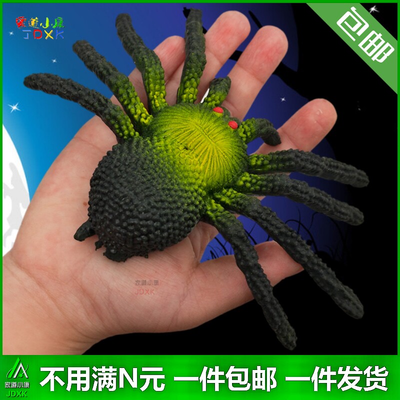 橡胶软胶蜘蛛模型：幼儿园儿童益