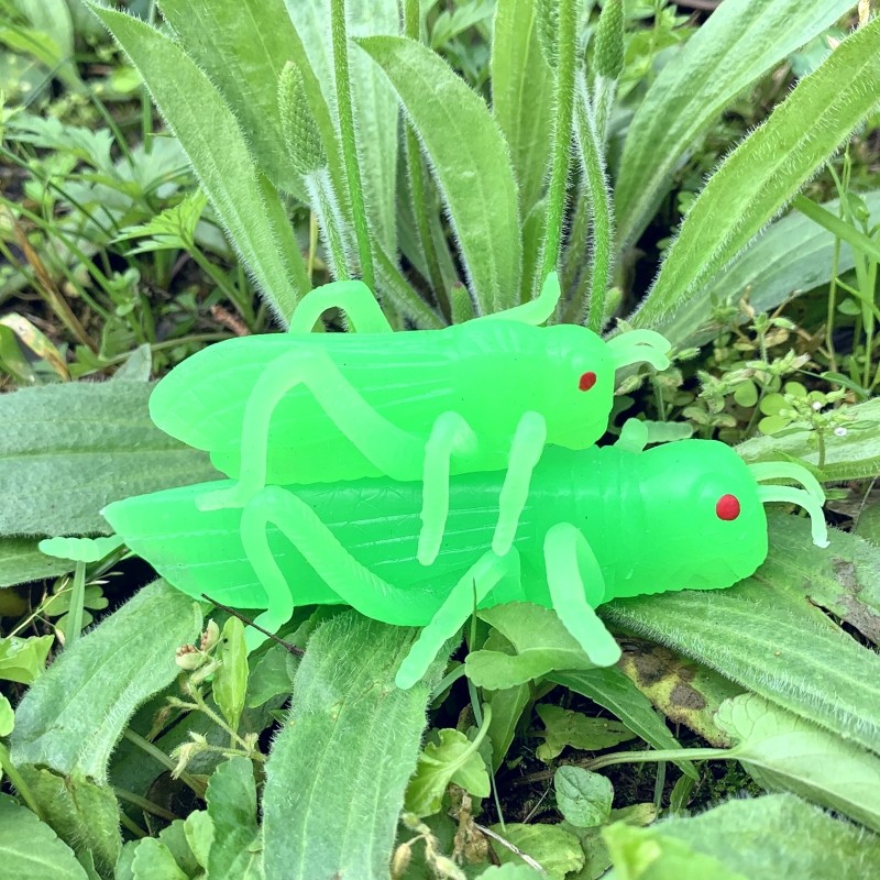 软胶仿真蚂蚱荧光绿色蝗虫大小号幼儿园儿童玩具静态昆虫动物模型