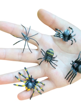 仿真小蜘蛛套装幼儿园儿童认知过家家创意整蛊吓人假昆虫动物模型