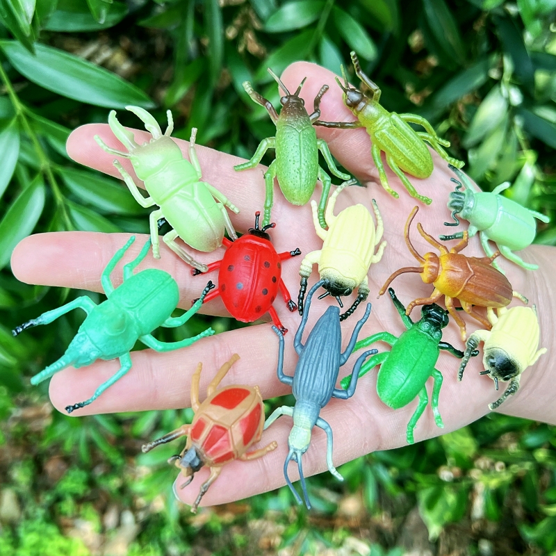 12只套装小甲壳虫塑胶昆虫包邮
