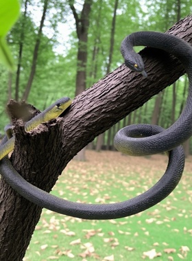 软胶蛇仿真蛇大小号蟒蛇眼镜蛇儿童玩具假蛇吓人整蛊动物模型摆件