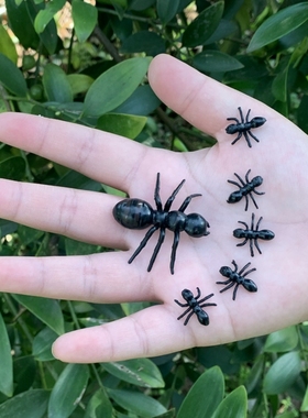 软胶仿真蚂蚁大小号迷你幼儿园儿童玩具早教认知静态昆虫动物模型