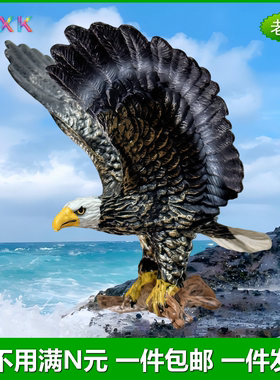 仿真老鹰金雕鹞子小号猛禽幼儿园儿童认知假鸟类玩具动物模型摆件