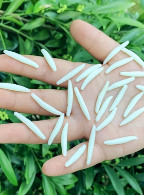 软胶弹力拉伸缩仿真蛆虫白色迷你昆虫子幼儿园儿童玩具小动物模型